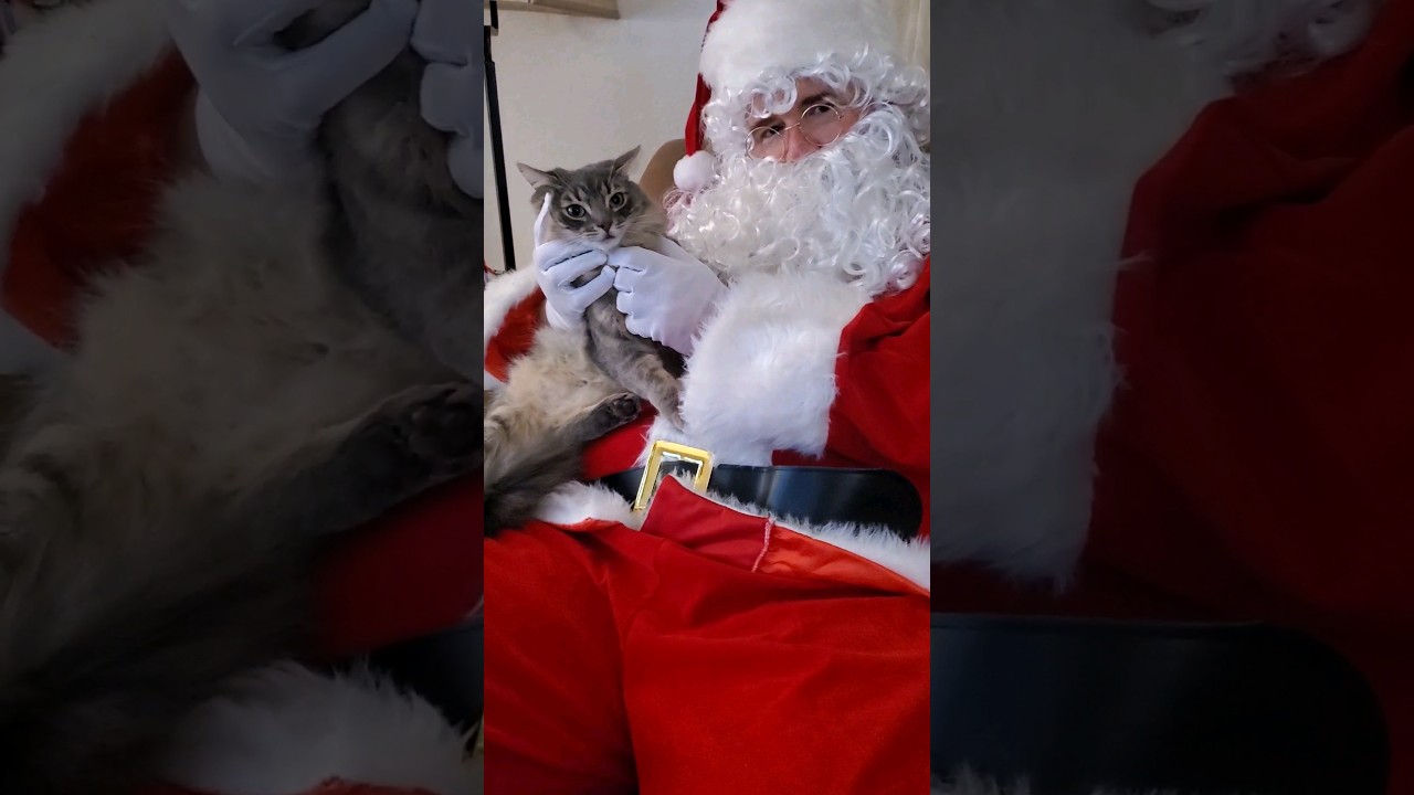 Santa came to see Tulip! 