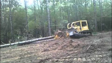D6D Dozer clearing pine trees