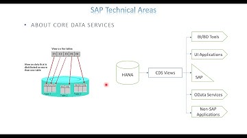 Video:1 ABAP  CDS Views Introduction