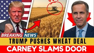 Trump Seeks Access to Canada’s Wheat — Carney Shuts It Down Fast