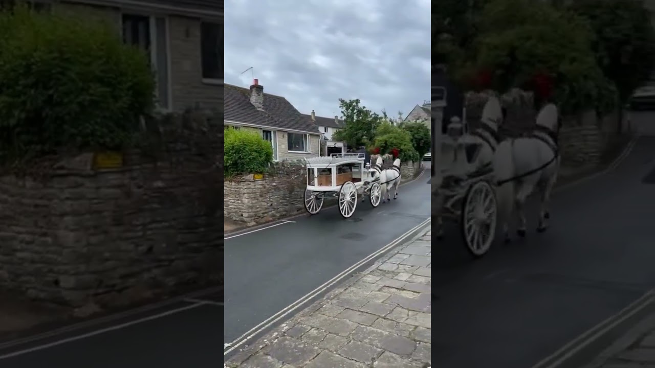 A Majestic Farewell: White Horses Guide Final Journey in Swanage | Douch Family Funeral Directors