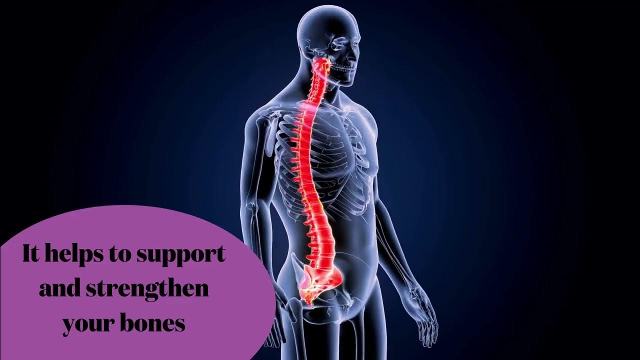 What are the benefits of Garlic Capsules? YouTube