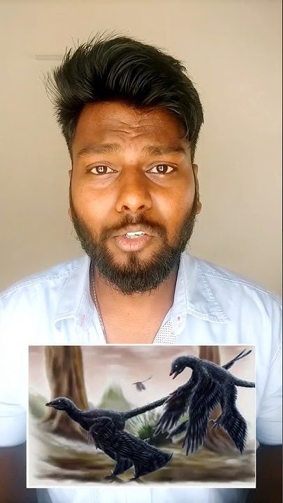 Facts That Nobody Knows facts factshorts fact tamil shorts facts-that-nobody-knows-facts-factshorts-fact-tamil-shorts