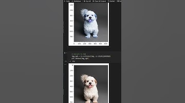 Funky images using Opencv colormaps