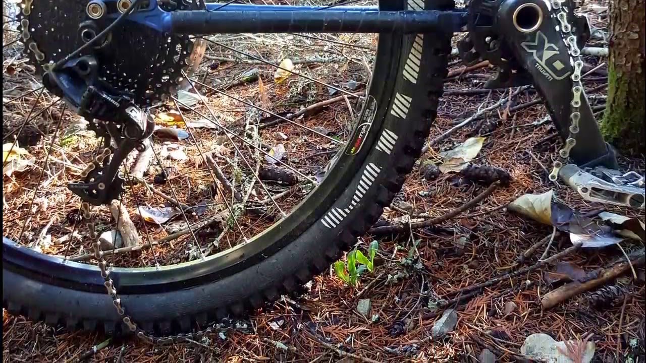 STEEL vs ALUMINUM A Run Bike Story YouTube