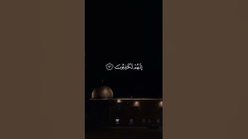 ايات من سورة العنكبوت بصوت #احمد_النفيس @مشكاةالهدى_2024