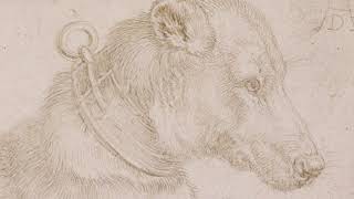 Metalpoint Drawing from Leonardo to Jasper Johns