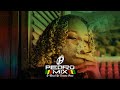 Medley Reggae Funk 3 (MC´s Dricka, Rodrigo do CN, Teteu e Priscilla) DJ Pedro Mix