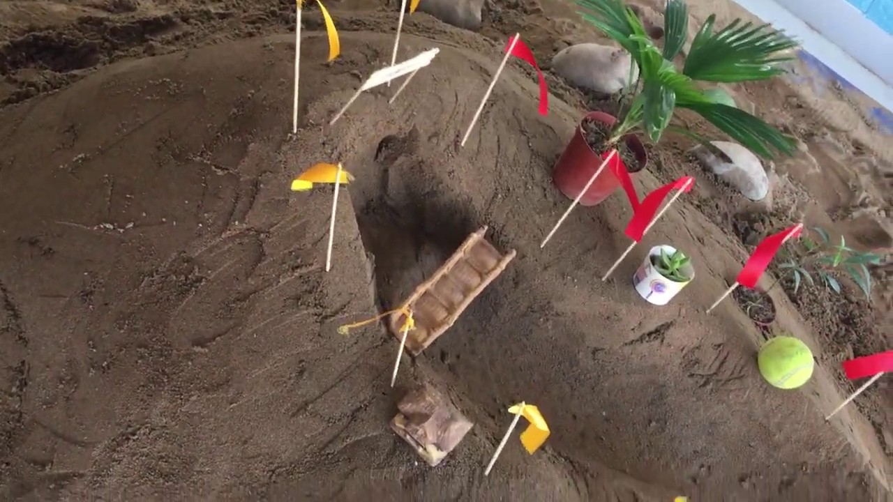 Colorful marbles racing through sand YouTube