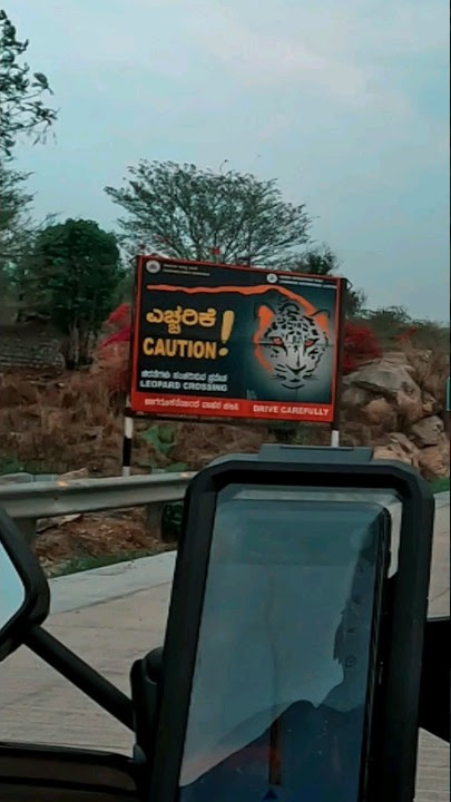 🐆🥵lepord crossing in highway causion 👹🏞️🏍️ #riderman.777 #rmf #tamil #shorts 🤞🥰