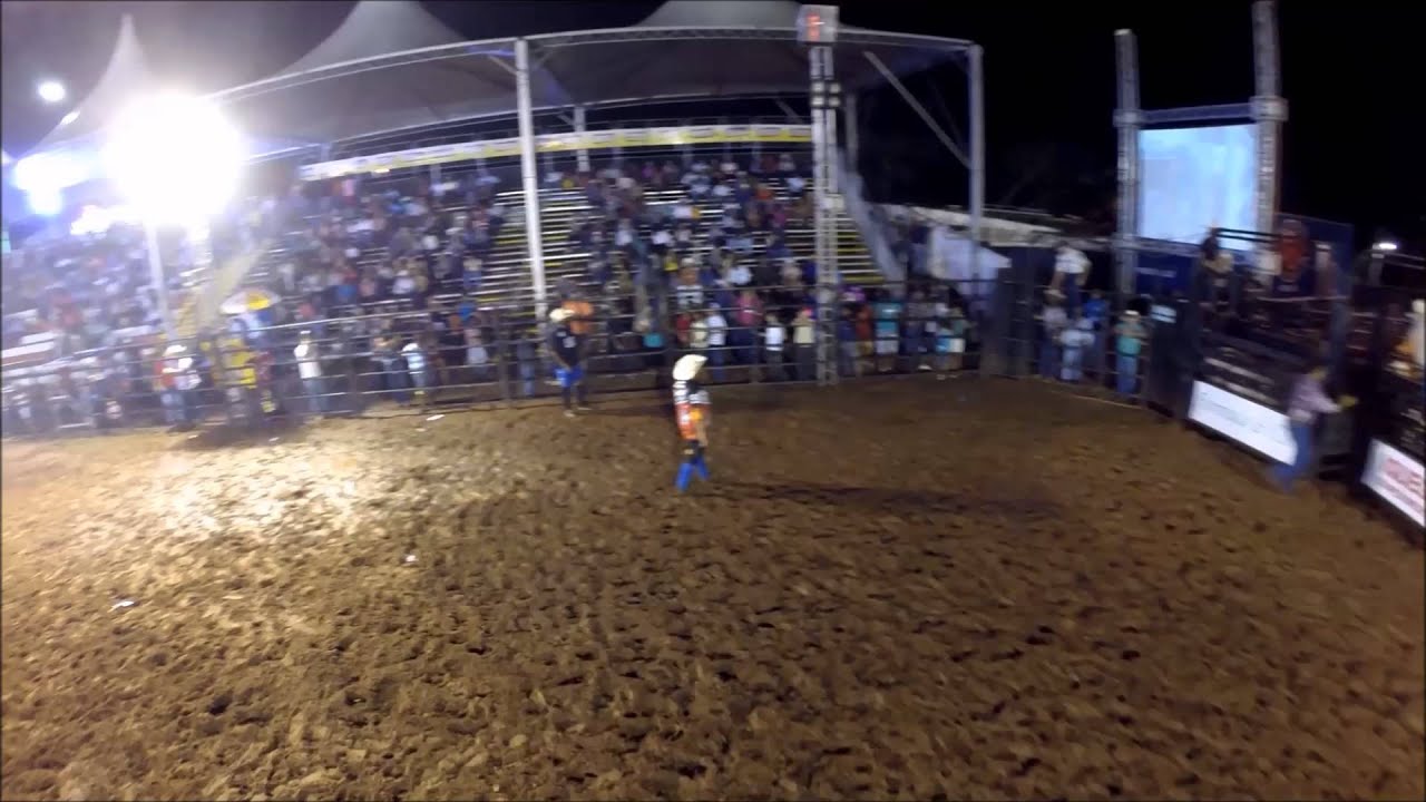 rodeio
