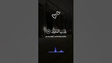 تلاوه خاشعه ❤️ #قران_كريم #المصحف #تلاوه #اكسبلور #قرآن #quran