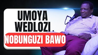 🙆‍♂️Ap. Muziwezigwili amadlozi echaza ngendaba yeDlozi nobungozi bakhona💔🥹 imimoya yamadlozi nokufa🫩