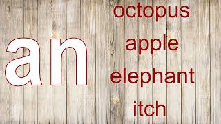 HJ Children’s English Intermediate Lesson 1 Articles