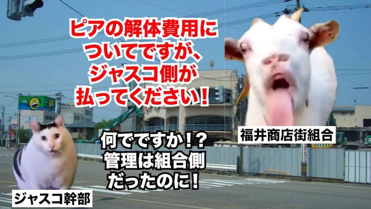 【イオン 福井県】日本で唯一イオンを拒み続ける都道府県 #猫マニ #猫ミーム