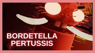 Bordetella Pertussis (Mnemonic for the USMLE)
