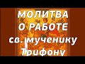 Молитва святому мученику Трифону (Молитва о работе) ✝️ #помолимся Благословит вас господь! ✝️