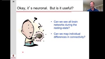 Resting state functional connectivity: Part 2 - Evidence that fluctuations are neuronal
