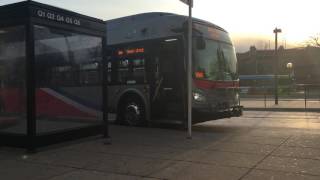 WMATA Metrobus: Bus Observations Q6 Shady Grove Station (New Flyer Industries XDE40)