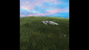 A Calm Field