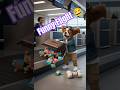 Story 7: CavPup Takes Flight! #funny  #shorts #viral #cute #puppy