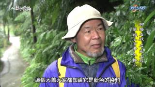 MIT 台灣誌 #659 腳蹬石碇 石尖山徑 攀越小百岳 二格山