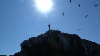 Treasure Hunting and cliff diving from an archipelago
diving in the pacific ocean to retrieve sunken treasure Treasure Hunting and cliff diving from an archipelago