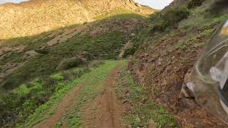 Camino a "La Cascada" de Tambillos, Region de Coquimbo - Chile. 03