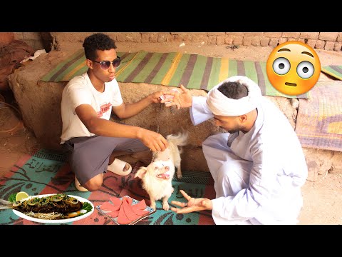 ولد الحاج صديق اشتري كلب جديد شوف ابوه عمل معاه ايه