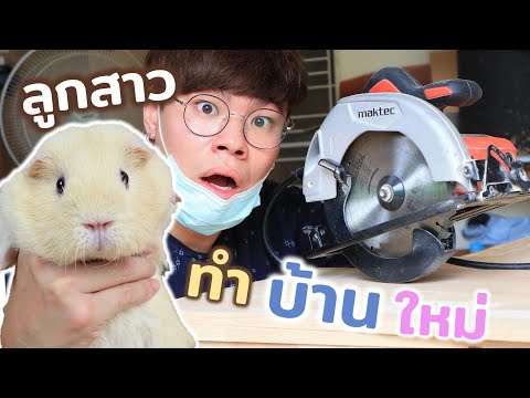 "สร้างบ้าน" ต้อนรับลูกสาวหนูเควี่ สุดสวย!? #สวยสุดในซอย