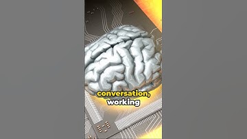 What is Working Memory? #shorts #brain #science
