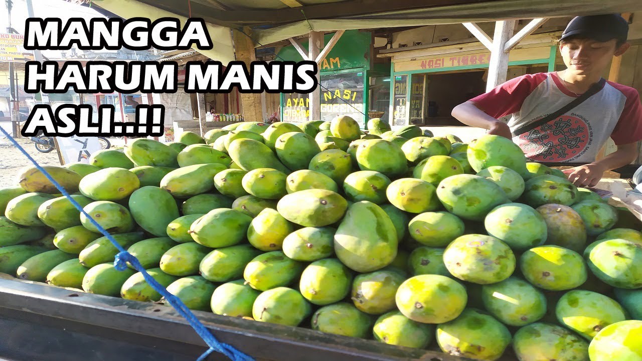 MANGGA HARUM MANIS PINGGIR JALAN SWEET MANGO  INDONESIAN STREET FOOD