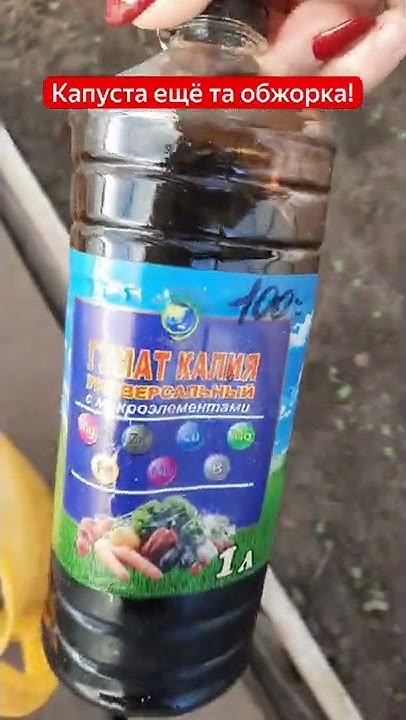 Гумат калия-супер удобрение для рассады капусты! - YouTube
