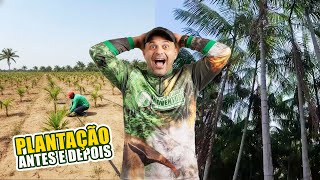 OLHA O TAMANHO DESSES AÇAIZEIROS! A REVISITA QUE VIROU UMA AVENTURA NA SELVA