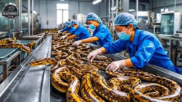 Mind-blowing Machines Operating At An Insane Level | The Most Satisfying Factory Tech! #3