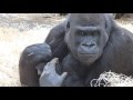 Gentle Mom Shinda And Sweet Ajabu Gentle Mom Shinda And Sweet Ajabu