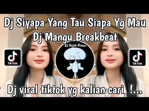 DJ SIAPA YANG TAU SIAPA YANG MAU | CERITA KITA TAK LAGI SAMA | DJ MANGU BREAKBEAT VIRAL TIKTOK 2025