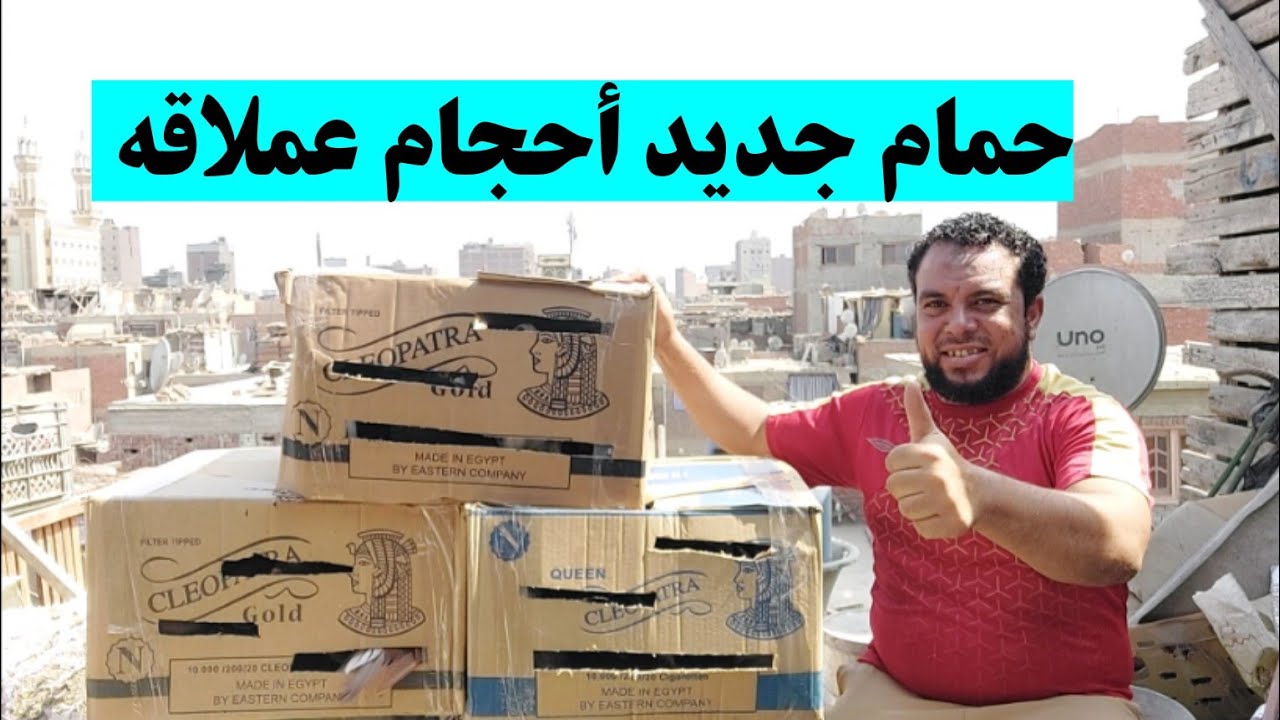 فتح ثلاث كراتين حمام وصلوا عن طريق الشحن حمام رومي وروماني وزينه وزواجل