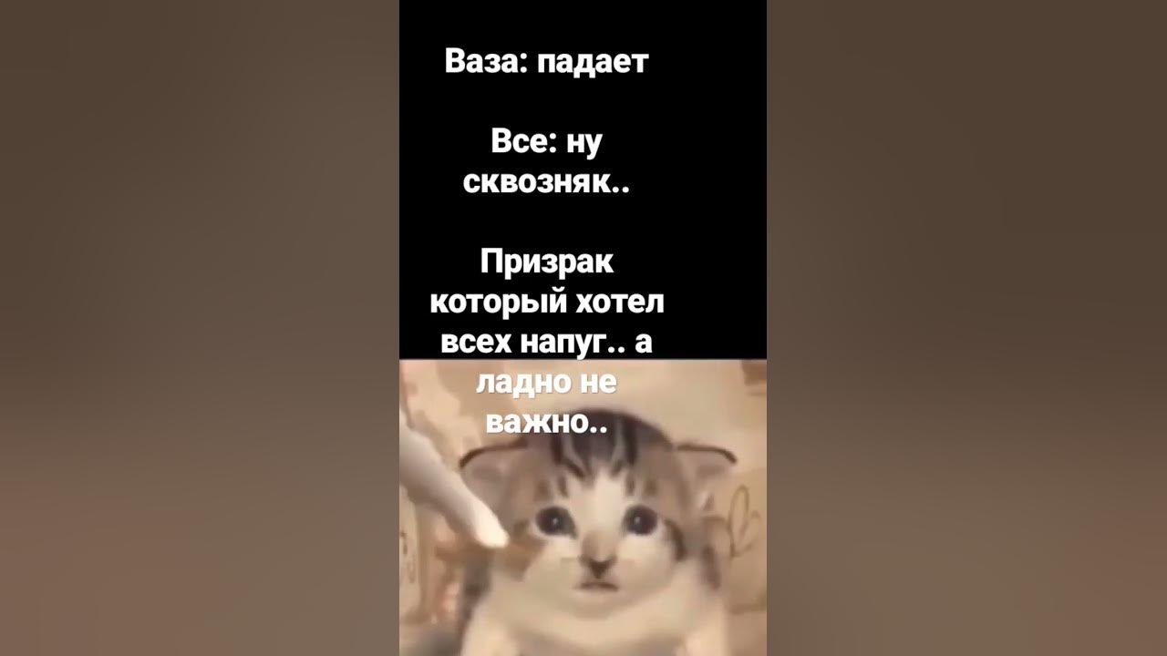 #мем #жиза #шиза #смешно - YouTube