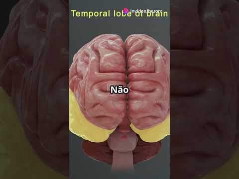 Desvendando como o