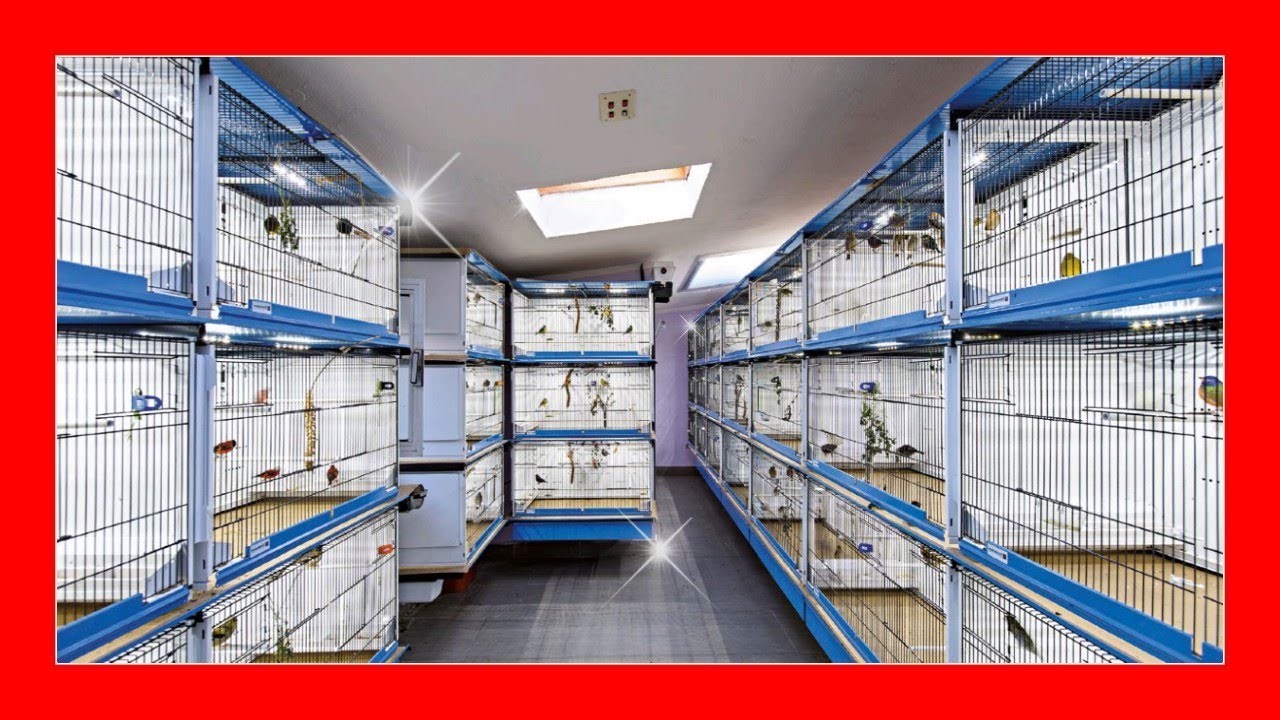 Ваш вольер всегда чистый 😱 Всего за 5 минут!! 😱