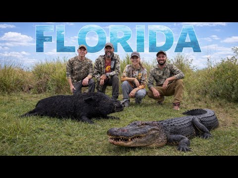 Florida Alligator, Pig, Sailfish and Sharks | S9E10 | Limitless Outdoors presented by Eberlestock