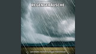 Regengeräusche, Pt. 13