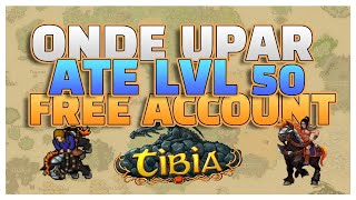 Guia Definitivo para Upar do Level 8 ao 50+ no Tibia Global Free Account    A ROTAÇÃO DEFINITIVA