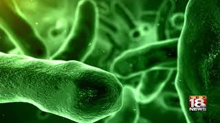 Multiple Cases of E. Coli Reported