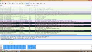 Celebrity DHCP Starvation Attack and Router Security Net Worth