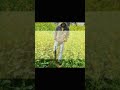 Dil lagana Mana tha #viral #love#villagelife #villagevlog #viralshort #views #vlog #vlogger