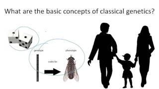 Basic Genetics Terms and Concepts