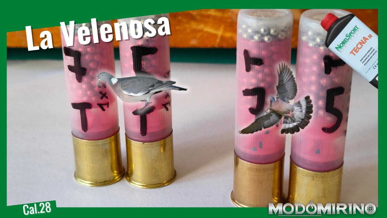 Tecna Long Range in Cal.28 - Per tiri difficili come al Colombaccio