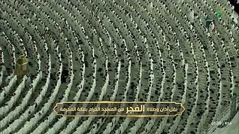 فواتح سورة النحل 1-32 بترتيل بديع وخاشع للشيخ أ.د. #ياسر_الدوسري فجر السبت 20 صفر 1446هـ 